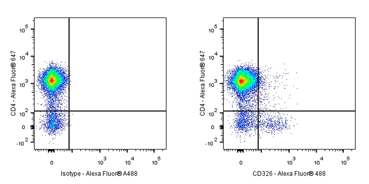 Rat Anti-Mouse CD326 Antibody (S-R627)