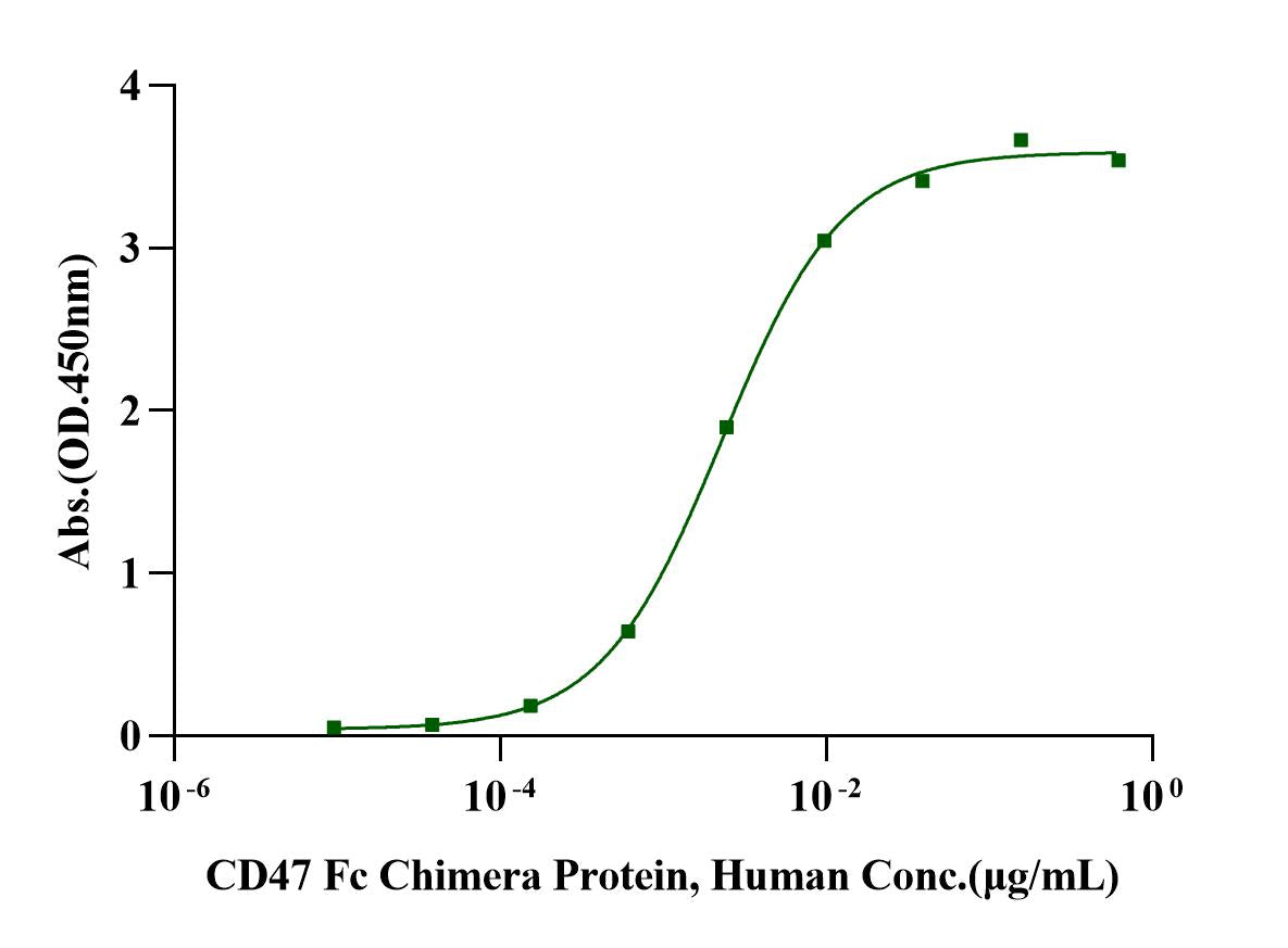SIRP alphaV2/CD172a His Tag Protein, Human