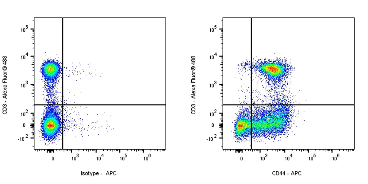 APC Mouse Anti-Rat CD44H Antibody (OX-49)