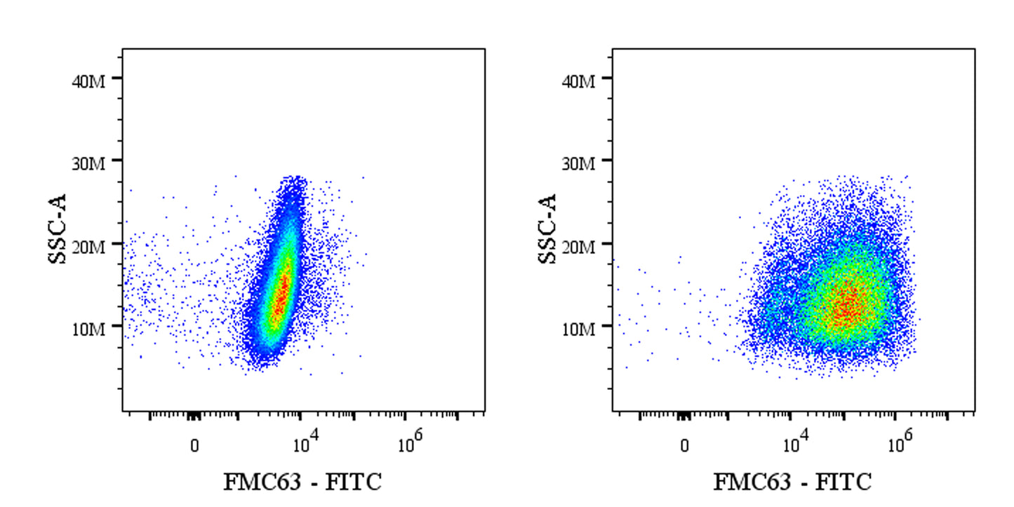 Anti-FMC63 Recombinant Mouse mAb (FITC Conjugate) (S-5031)