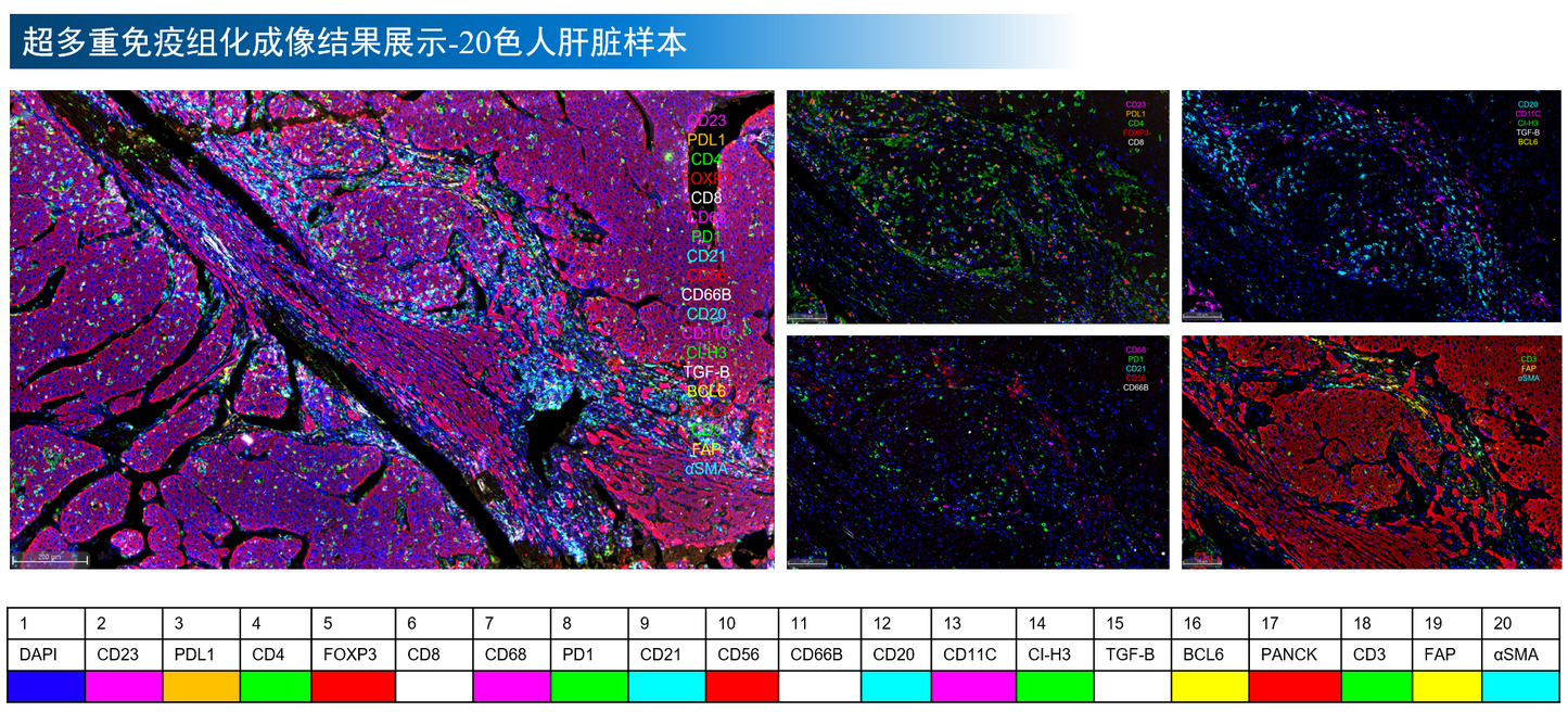 HyperTSA Ultra Multiplex IHC Kit