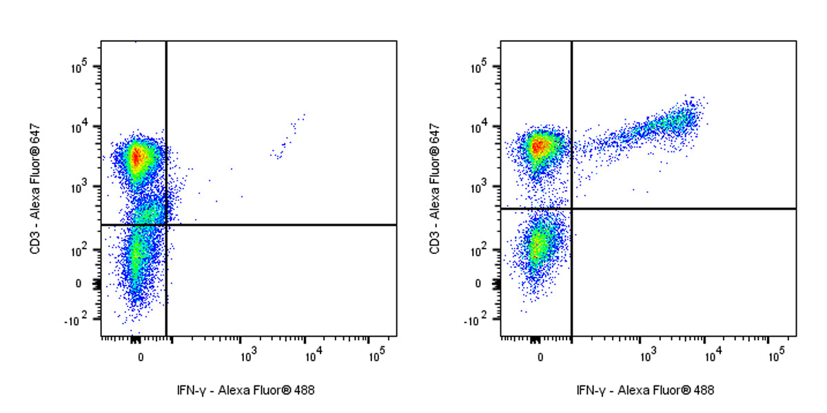 Mouse Anti-Human IFN-γ Antibody (S-3076)