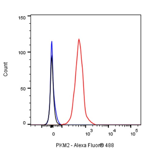 PKM2 Rabbit Polyclonal antibody