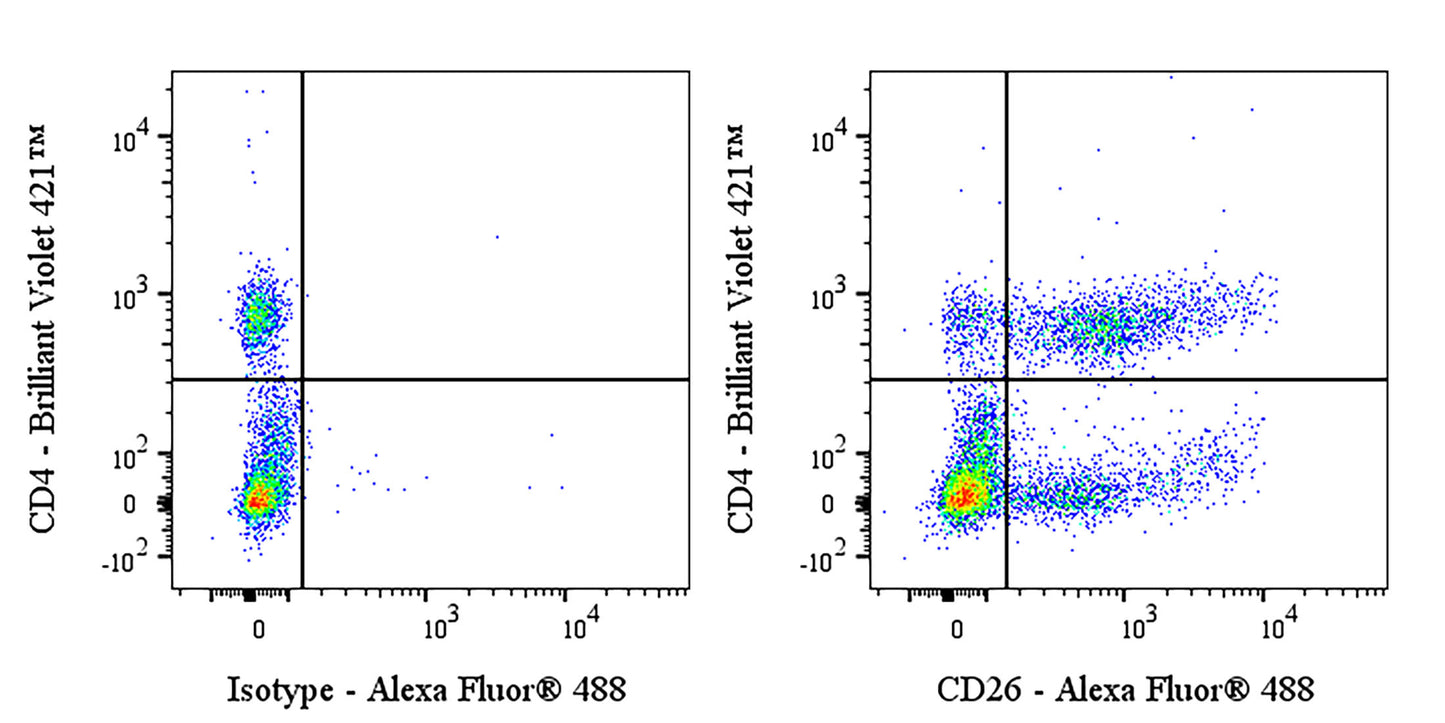 Mouse Anti-Human CD26 Antibody (M-A261)