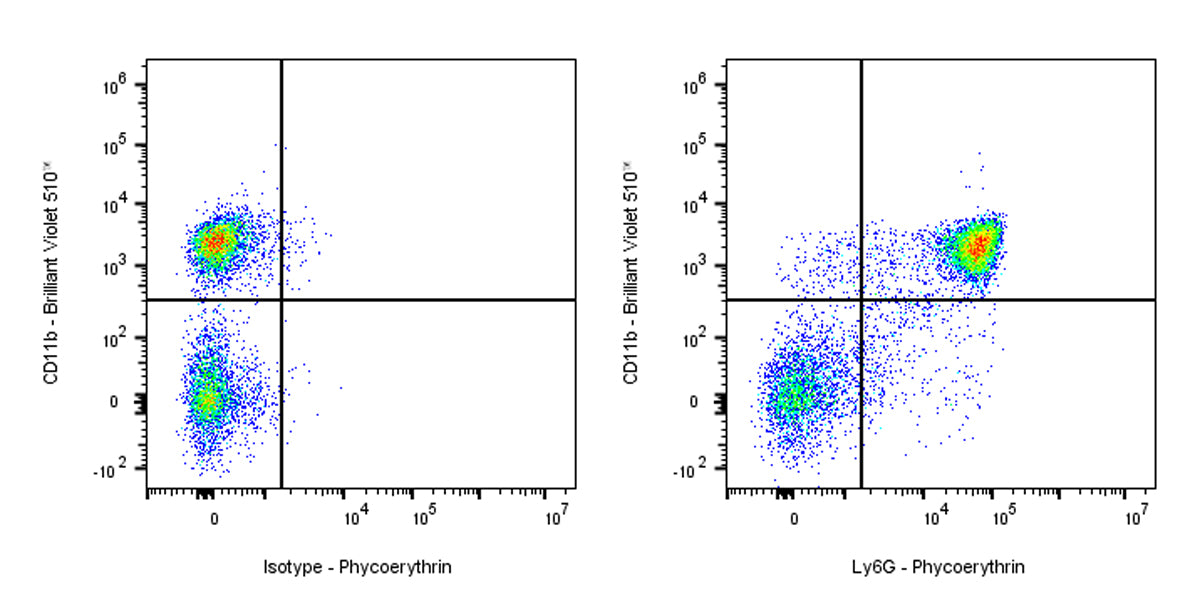 PE Rat Anti-Mouse Ly6G Antibody (1A8)