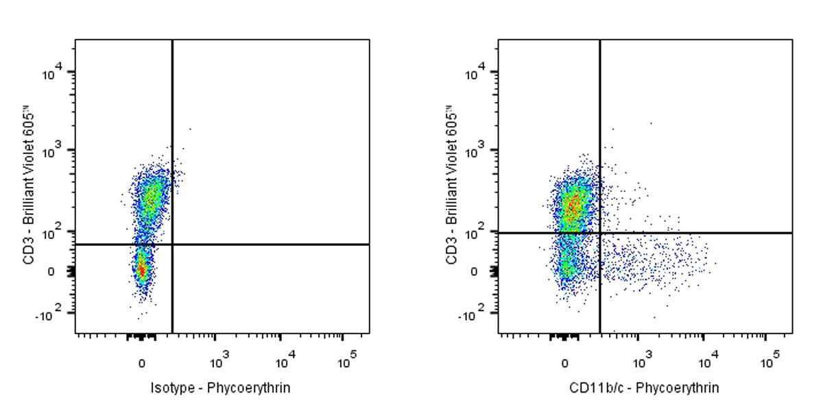 PE Mouse Anti-Rat CD11b/c Antibody (OX-42)