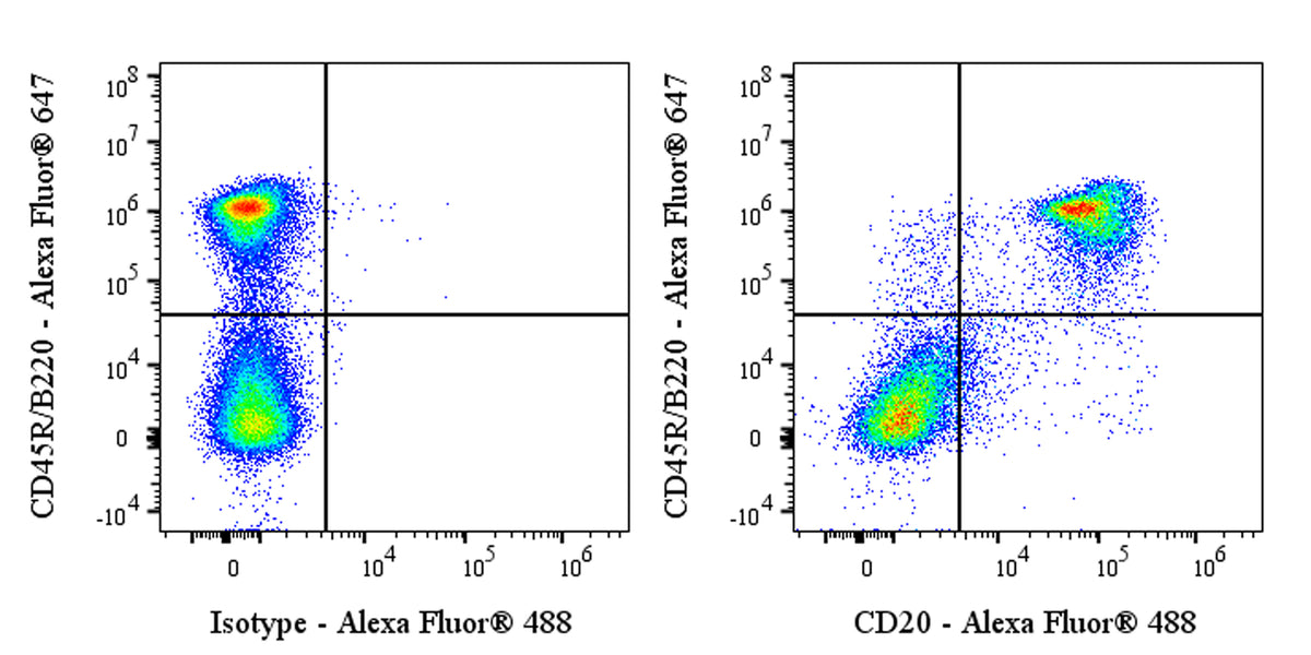 Alexa Fluor® 488 Mouse Anti-Mouse CD20 Antibody (S-3682)
