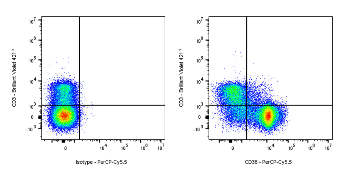 PerCP-Cy5.5 Rat Anti-Mouse CD38 Antibody (90)