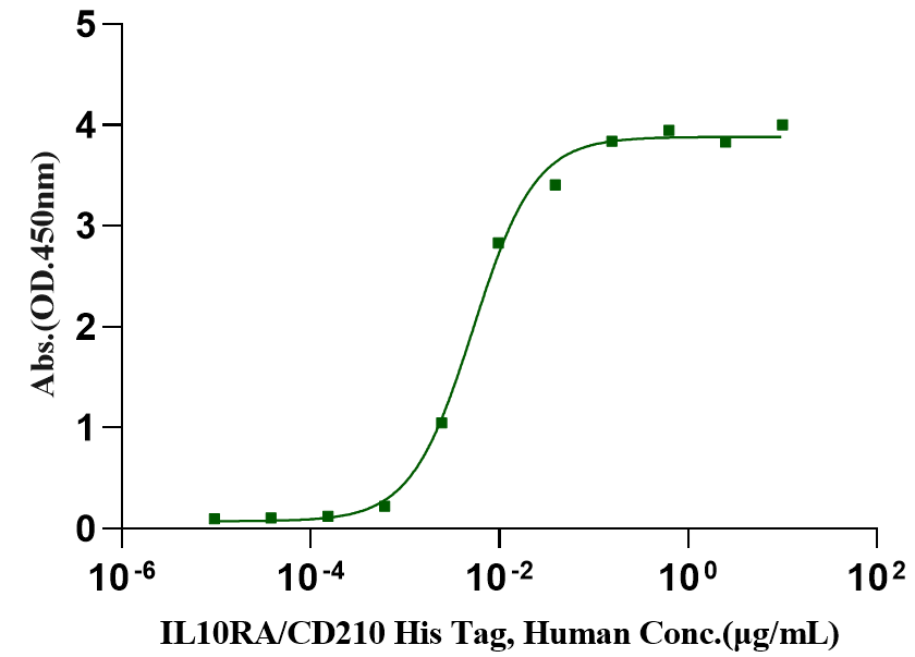 IL-10 Protein, Feline