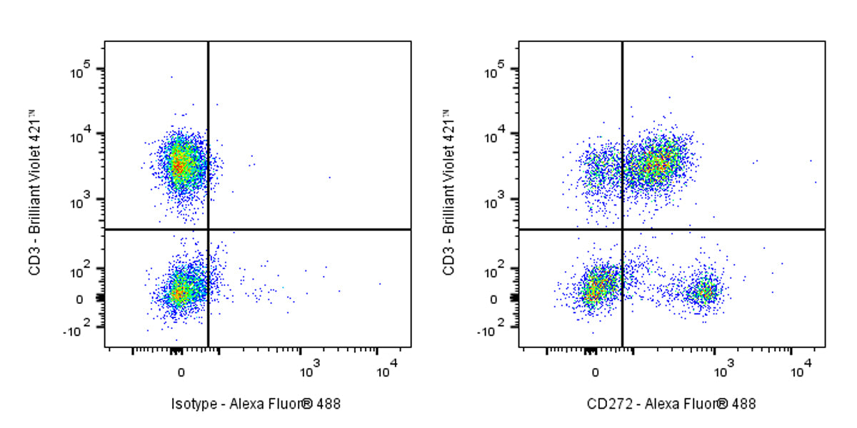 Mouse Anti-Human CD272 Antibody (MIH26)