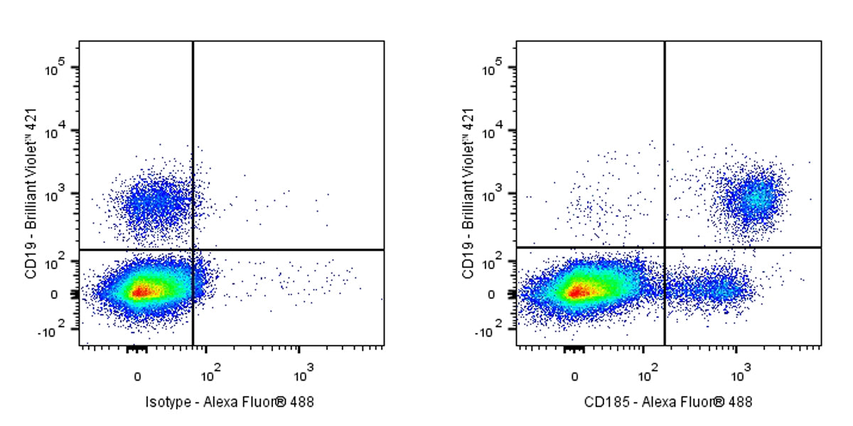 Mouse Anti-Human CD185 Antibody (S-R653)