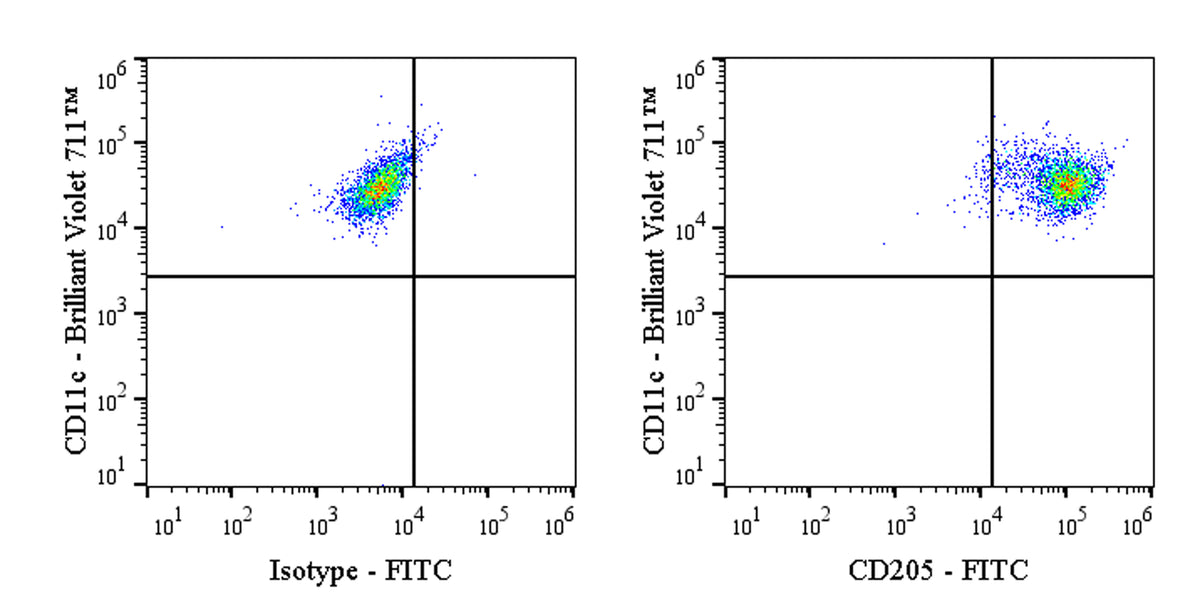 FITC Mouse Anti-Human CD205 Antibody (S-3023)