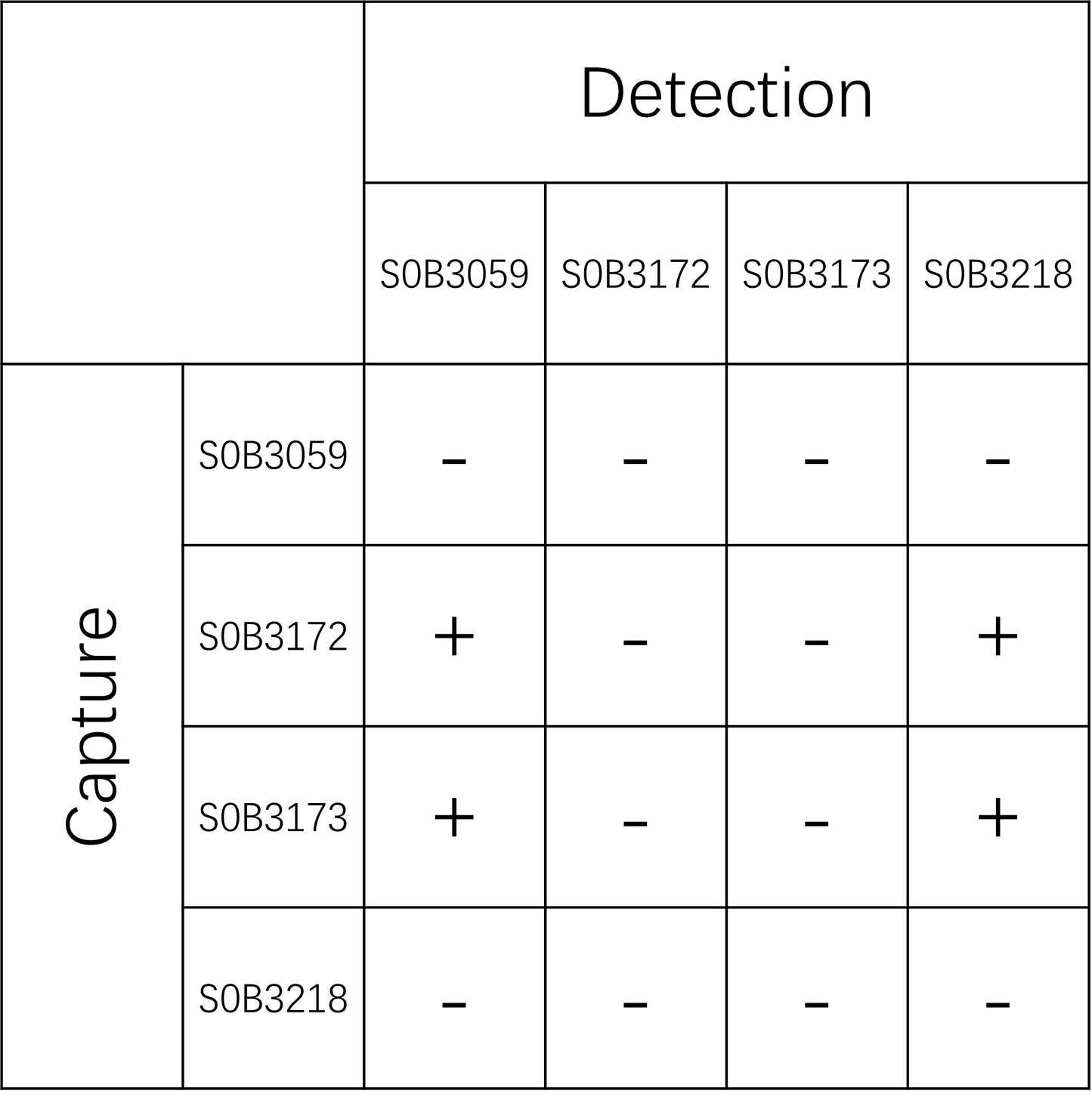 Tau Recombinant Rabbit mAb (SDT-171-45)