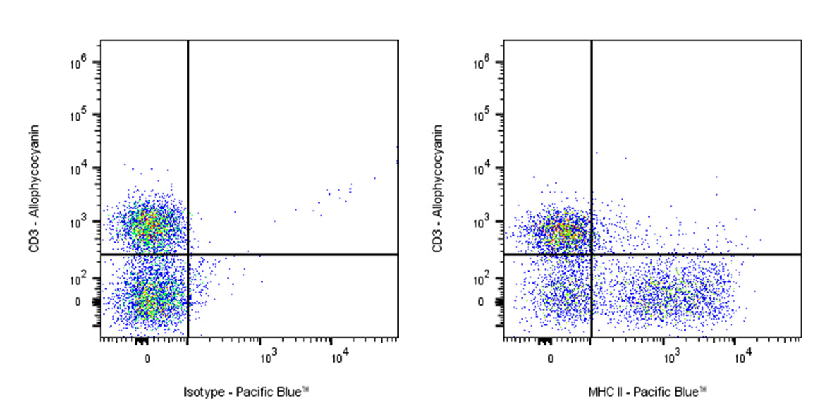 Pacific Blue Mouse Anti-Rat MHC II (RT1D) Antibody (OX-17)