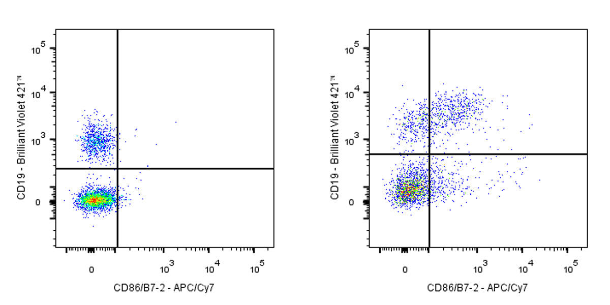 APC-Cy7 Rat Anti-Mouse CD86/B7-2 Antibody (GL-1)