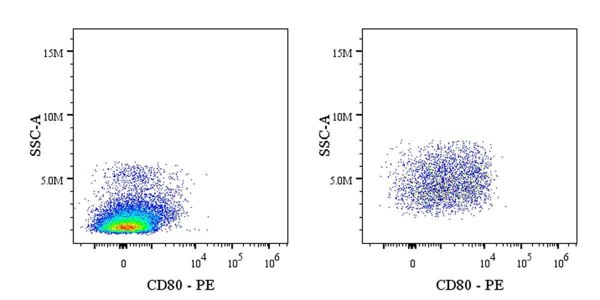 PE Armenian hamster Anti-Mouse CD80 Antibody (16-10A1)
