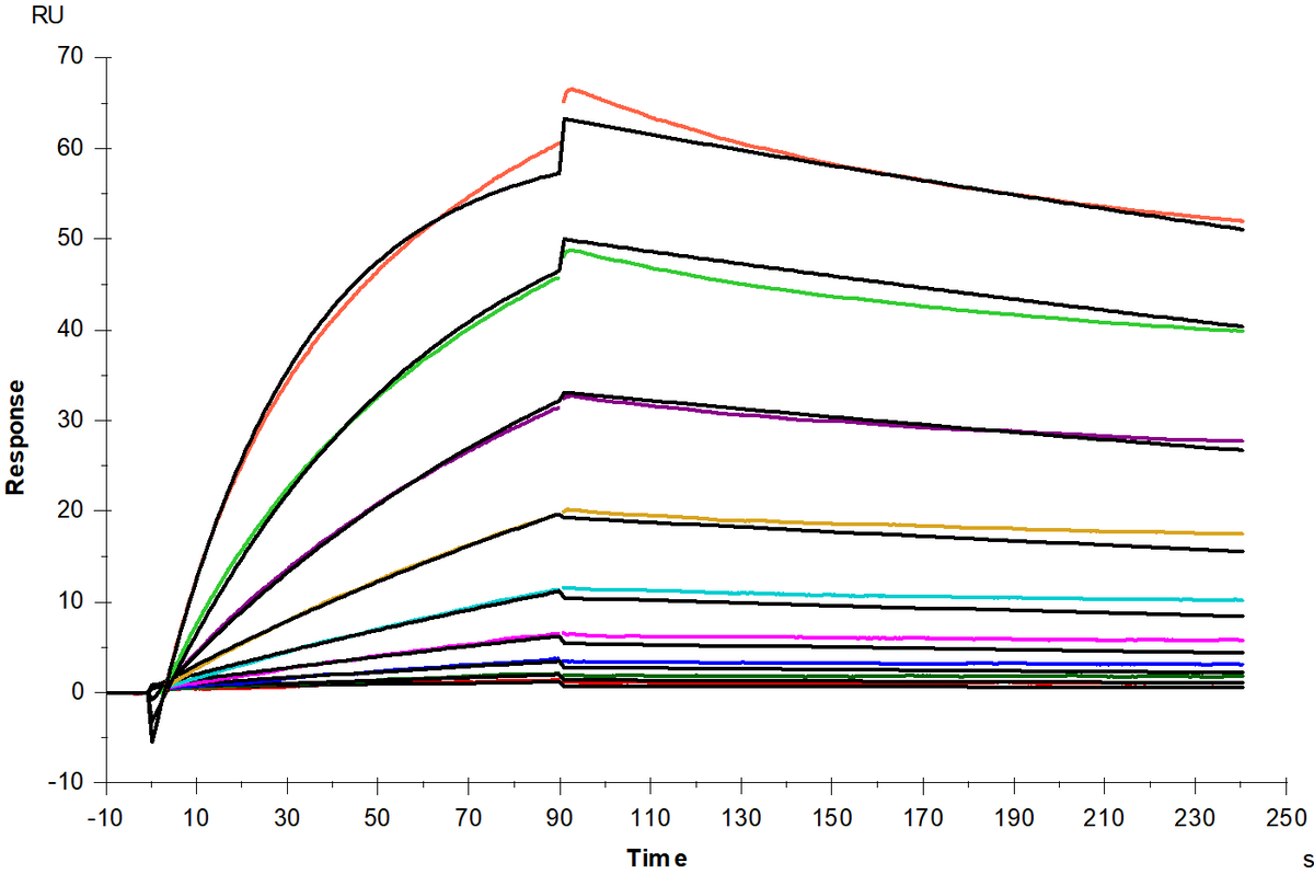 TfR/CD71 His Tag Protein, Cynomolgus