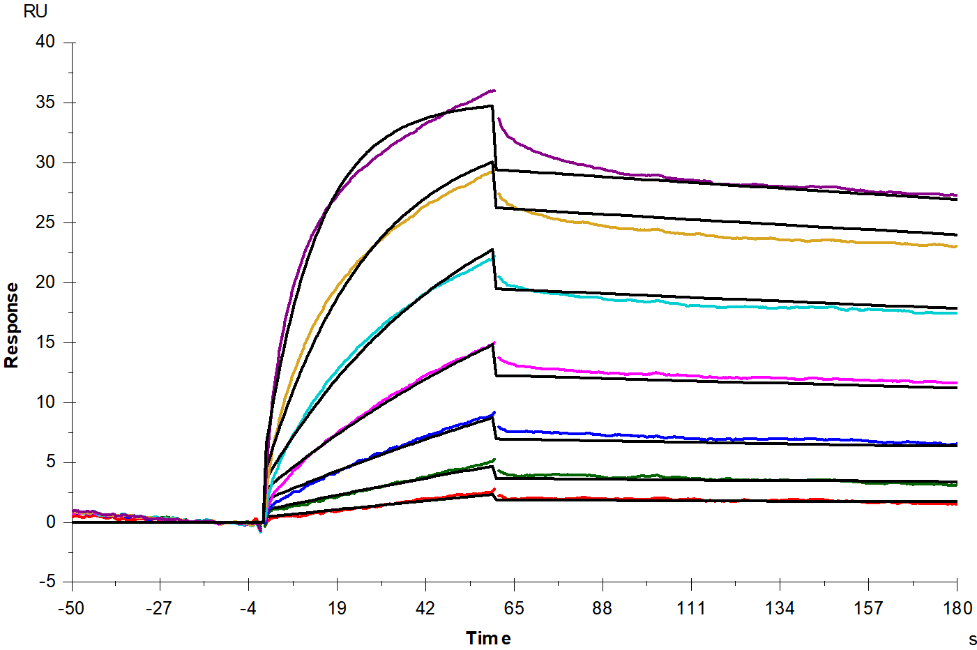 M-CSFR His Tag Protein, Mouse