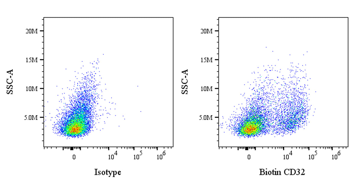Biotin Mouse Anti-Rat CD32 Antibody (S-4246)
