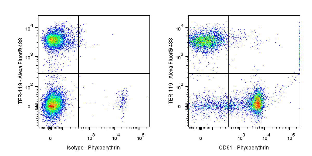 PE Armenian hamster Anti-Mouse/Rat CD61 Antibody (2C9.G2)