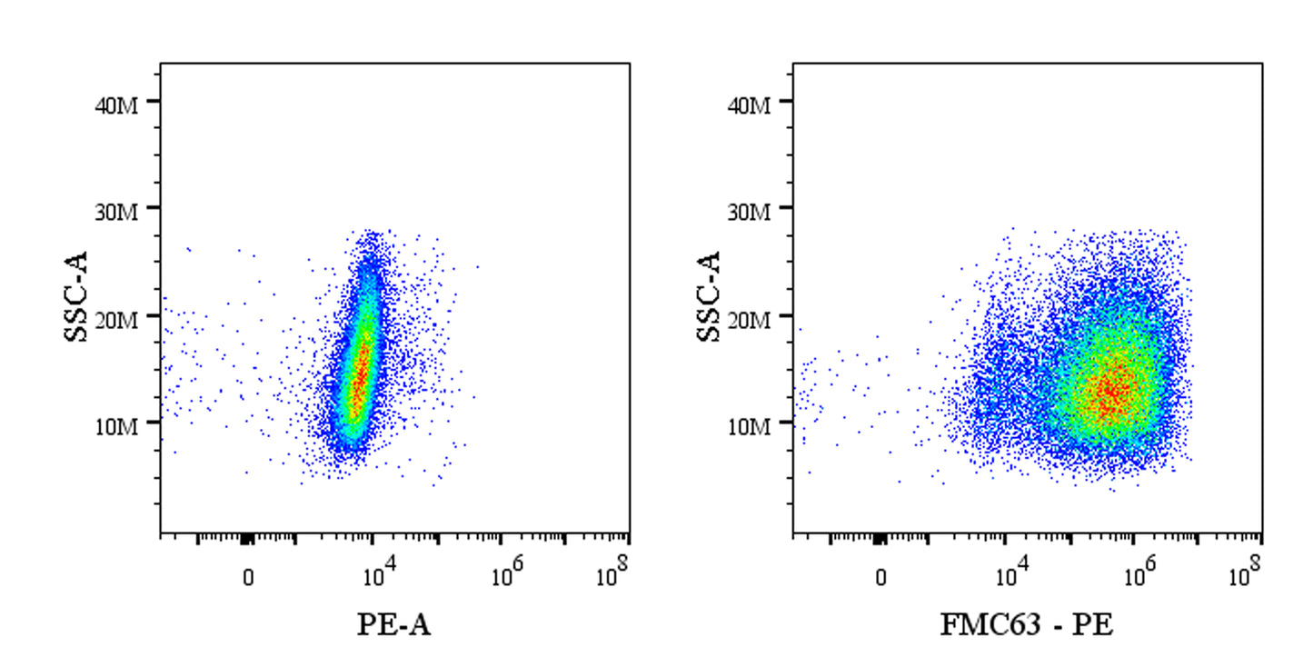 Anti-FMC63 Recombinant Rabbit mAb (PE Conjugate) (S-2163-30)