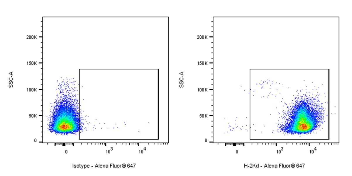Alexa Fluor® 647 Mouse Anti-Mouse H-2Kd Antibody (SF1-1.1)