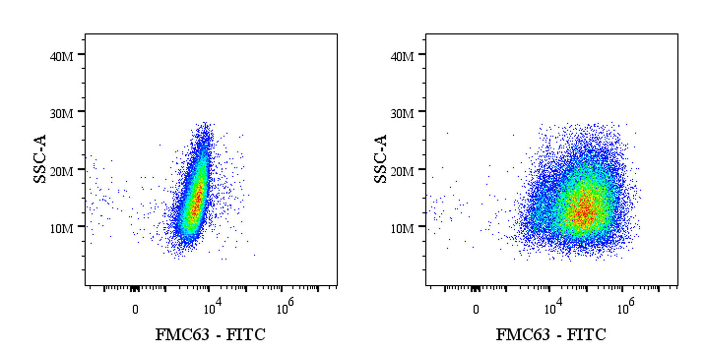 Anti-FMC63 Recombinant Rabbit mAb (FITC Conjugate) (S-2163-53)