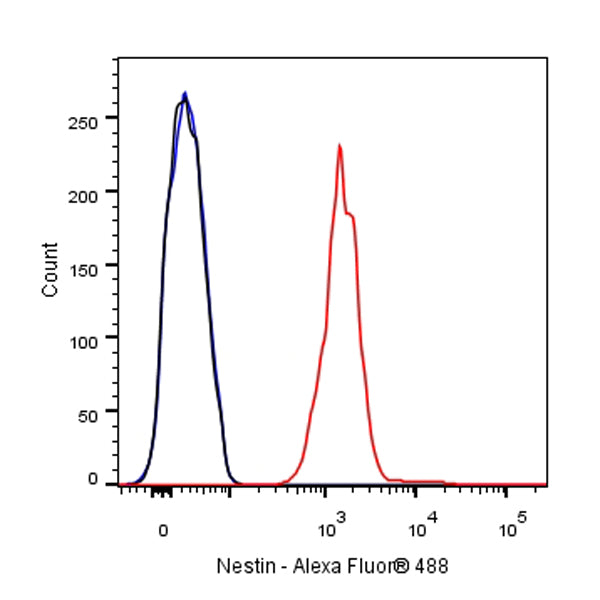 Nestin Recombinant Rabbit mAb,PBS Only (SDT-R112)