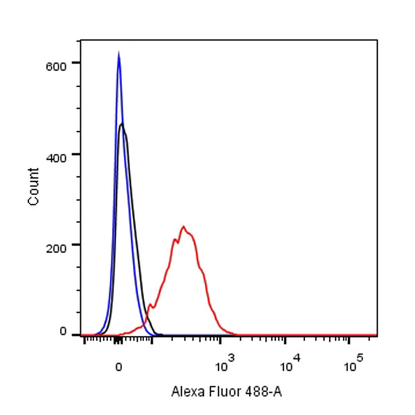β-actin Recombinant Rabbit mAb (Alexa Fluor® 488 Conjugate) (SDT-R015)