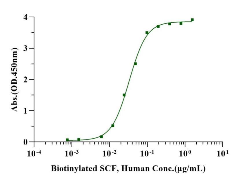 CD117/c-Kit His Tag Protein, Human