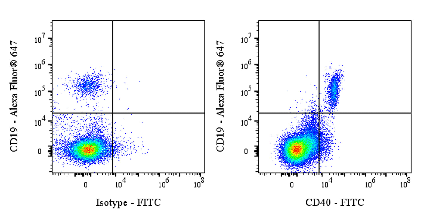 FITC Mouse Anti-Human CD40 Antibody (S-3799)