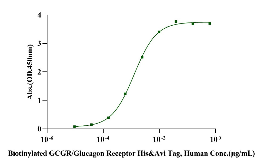 Biotinylated GCGR/Glucagon Receptor His&Avi Tag Protein, Human