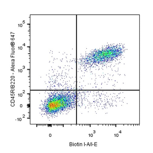 Biotin Rat Anti-Mouse I-A/I-E Antibody (M5/114.15.2)