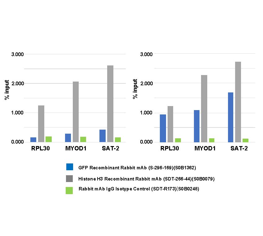 GFP Recombinant Rabbit mAb (S-296-169)