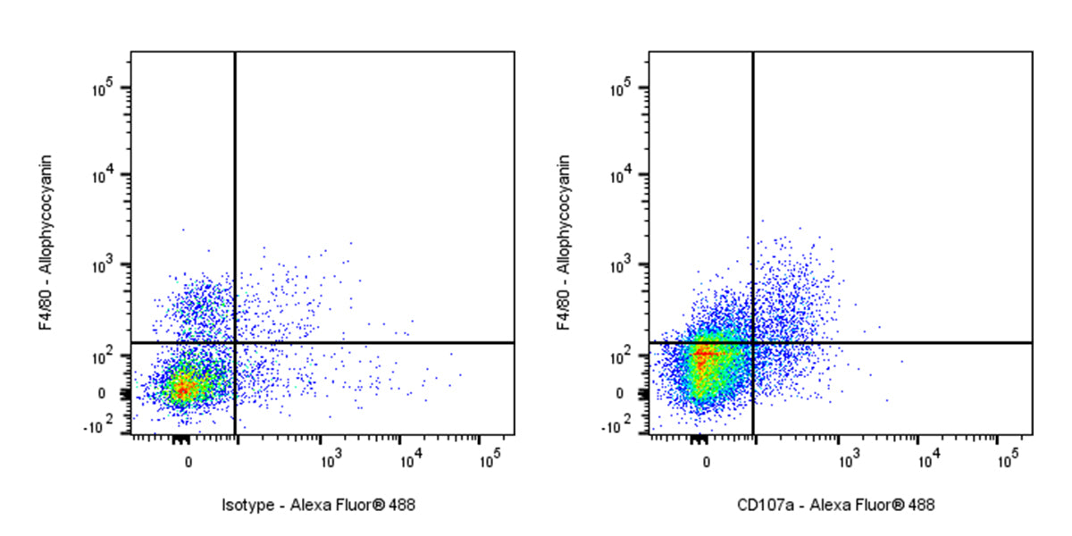 Alexa Fluor® 488 Rat Anti-Mouse CD107a Antibody (S-R668)