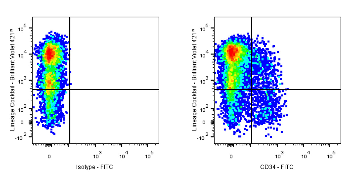 FITC Rat Anti-Mouse CD34 Antibody (RAM34)