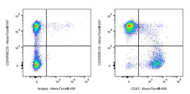 Rat Anti-Mouse CD43 Antibody (S-R588)