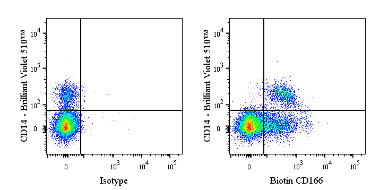 Biotin Mouse Anti-Human CD166 Antibody (S-2869)