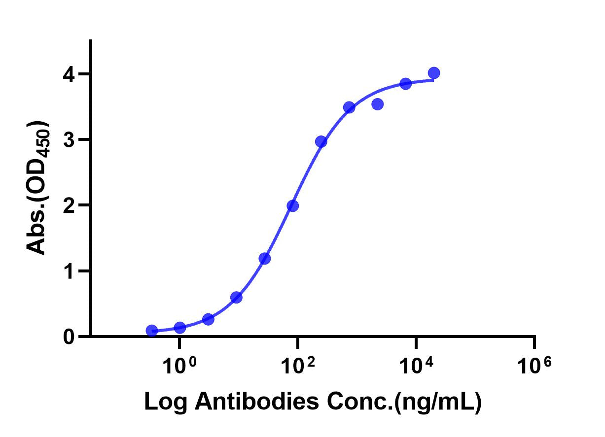 Anti-Human TROP-2 Monoclonal Antibody (Sacituzumab)