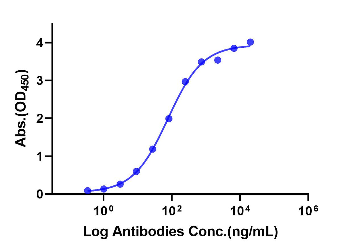 Anti-Human TROP-2 Monoclonal Antibody (Sacituzumab)