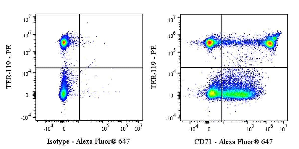 Alexa Fluor® 647 Rat Anti-Mouse CD71 (TfR1) Antibody (RI7217)