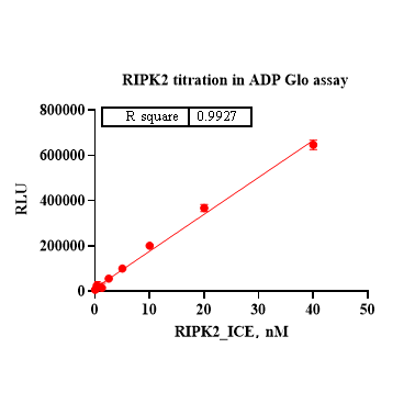 Product image media