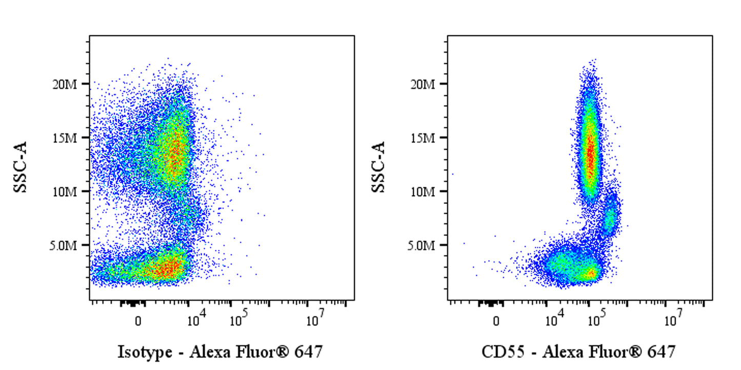 Alexa Fluor® 647 Mouse Anti-Human CD55 Antibody (S-3120)
