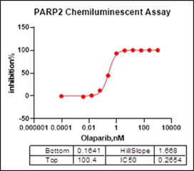 PARP2, GST Tag Protein