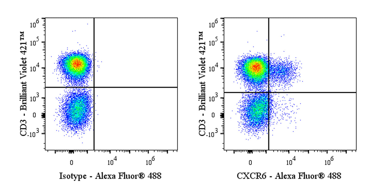 Mouse Anti-Human CD186 (CXCR6) Antibody (S-3884)