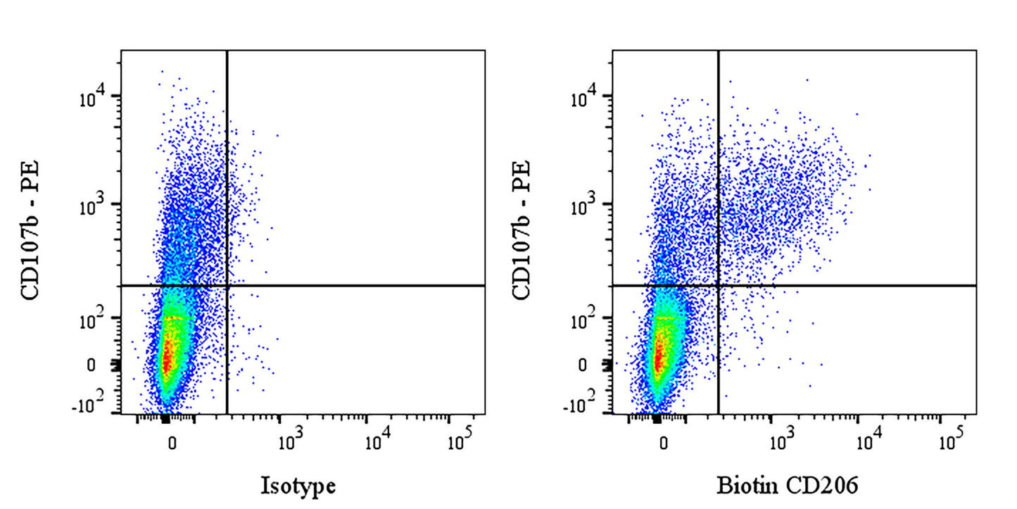 Biotin Rat Anti-Mouse CD206 Antibody (S-4793)