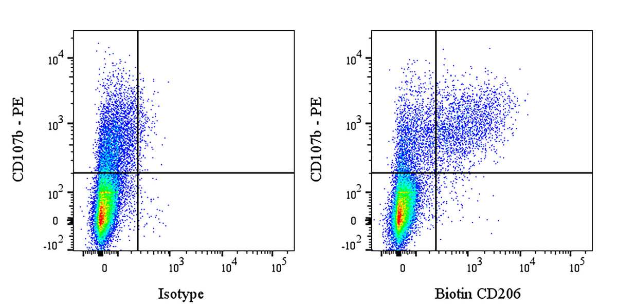 Biotin Rat Anti-Mouse CD206 Antibody (S-4793)