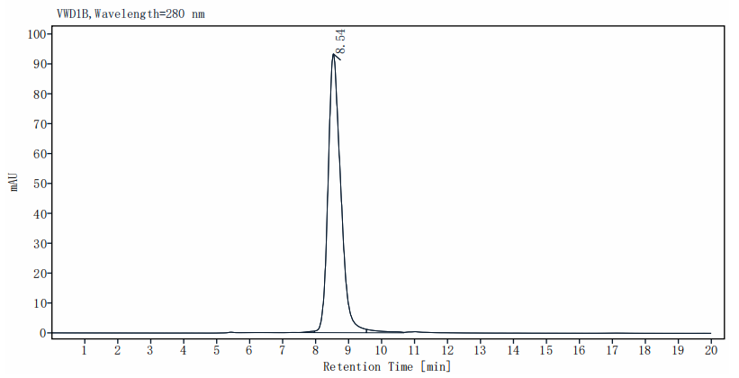 MMP-2 His Tag Protein, Mouse