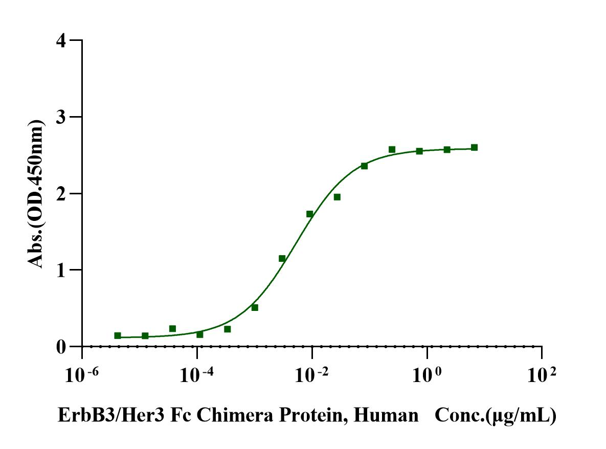NRG1 Beta 1 His Tag Protein, Human
