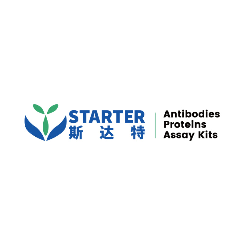 Human IL-2 OneStep ELISA Kit